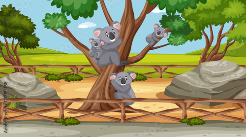 Scene with wild animals in the zoo at day time