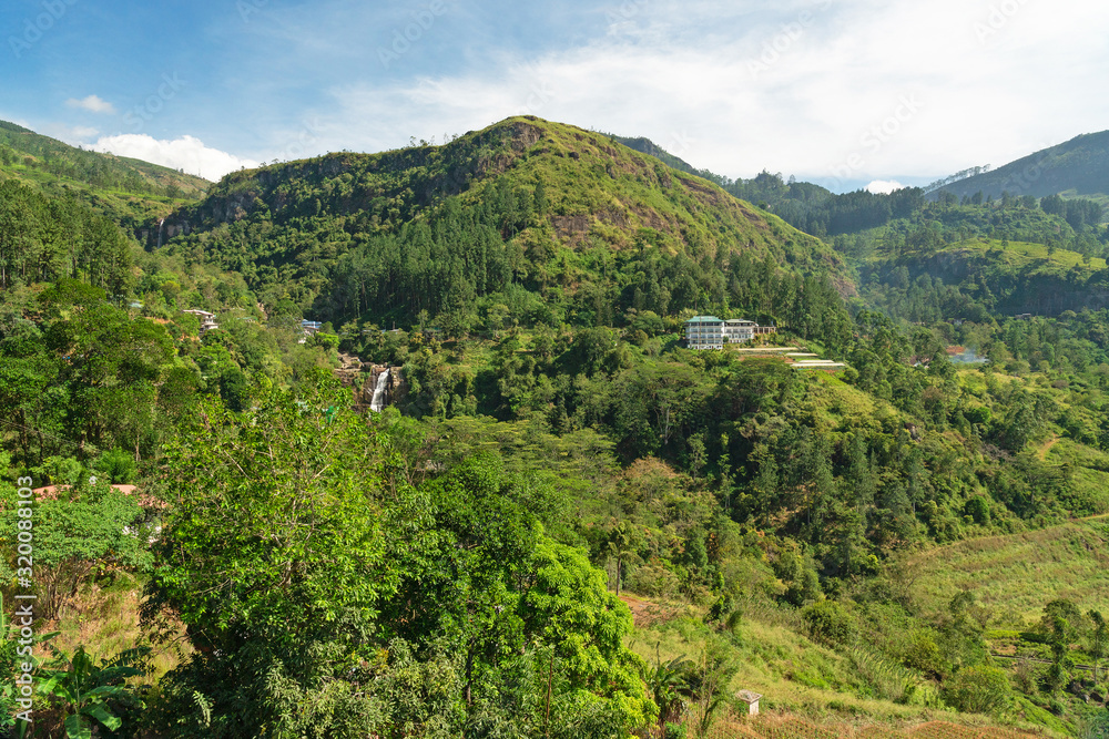 Tea plantations mountain green landscape, Sri Lanka, Nuwara Eliya