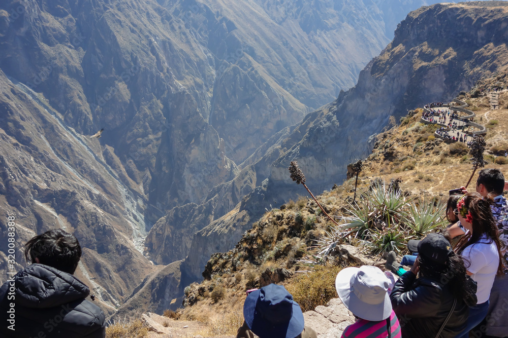 Arequipa/Peru: tourists seeing the flying of the Condor, on the valley of 'Canyon del Colca'