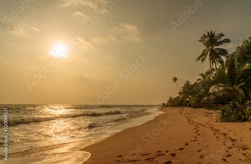 Ocean sunset sand beach with coconut palms, Sri Lanka.