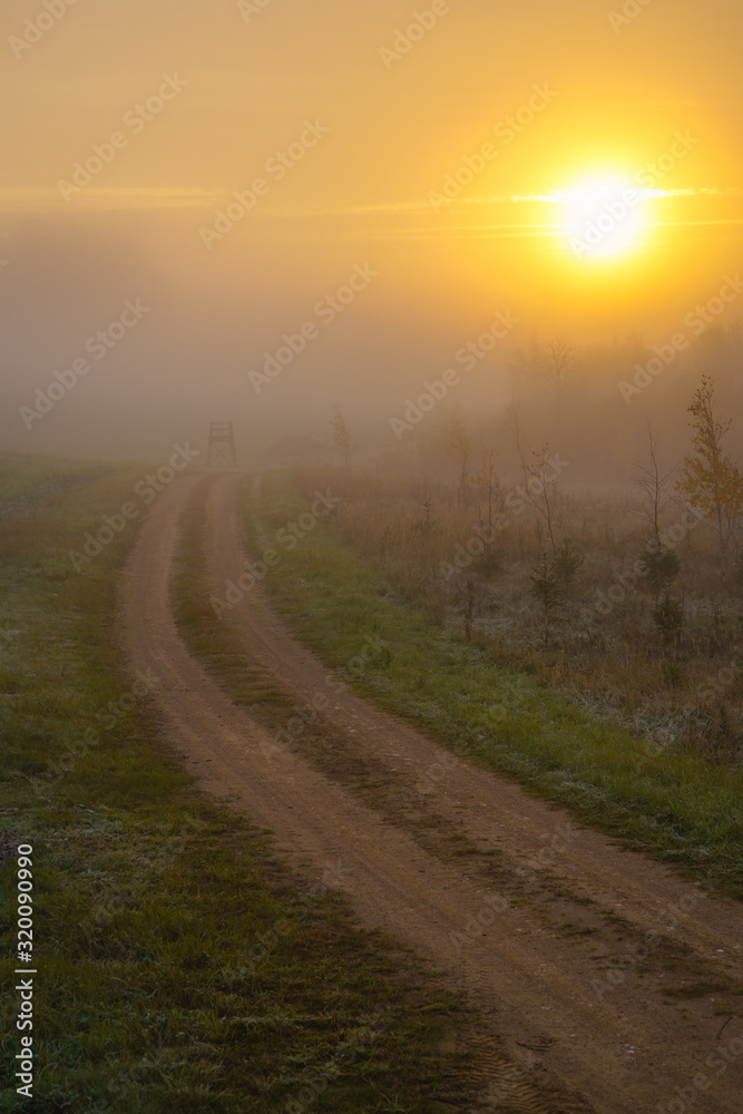 sunrise, country road in the mist, frost in the grass, sun through fog sunrise, country road in the mist, frost in the grass, sun through fog