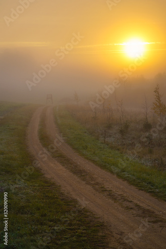 sunrise, country road in the mist, frost in the grass, sun through fog