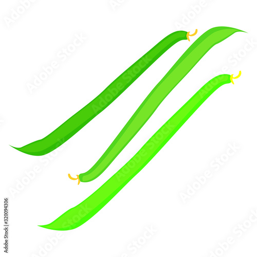 string beans, vector graphics, useful vegetables