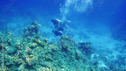 Wallpaper Mural Three scuba divers swim slowly along a coral reef against blue depth. In the foreground in front of the camera is colorful coral reef and tropical fishes Torontodigital.ca