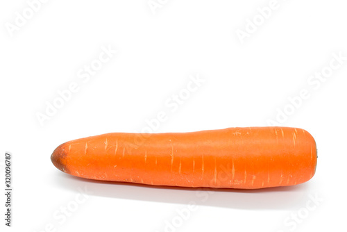 Orange Carrot on White Background