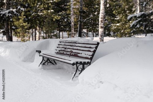 Lonely snowy bench in a winter park