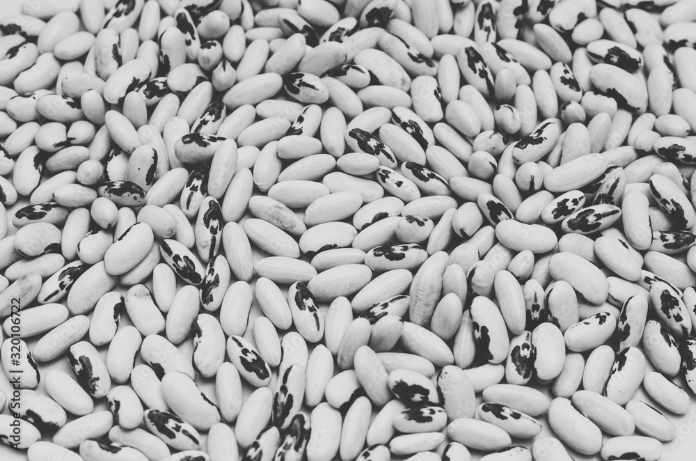 Bean beans close-up in black and white, background Bean beans close-up in black and white, background