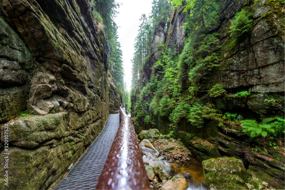 Gorge next to Kamienczyk waterfall (Kamienczuk wodospad), Poland Gorge next to Kamienczyk waterfall (Kamienczuk wodospad), Poland