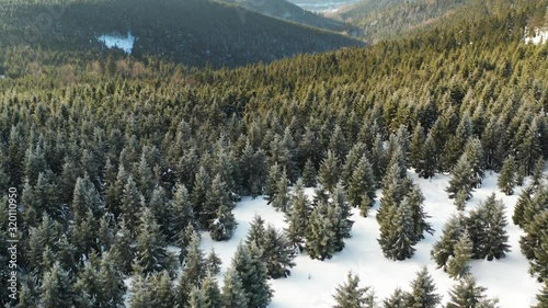 Aerial view of a forest and beautiful landscape in winter. 4K High resolution drone shot flying over tree tops.