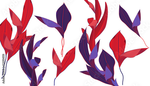 A pattern of spectacular exotic leaves. Tropical leaves. Banner and postcards, Printing on fabric and other surfaces. Vector illustration
