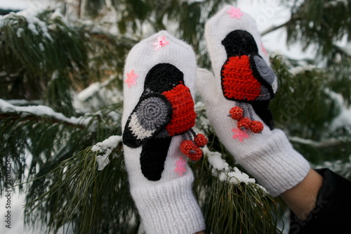 white gloves with bullfinches on a background of cedar in winter © Natali Arkhangelsk