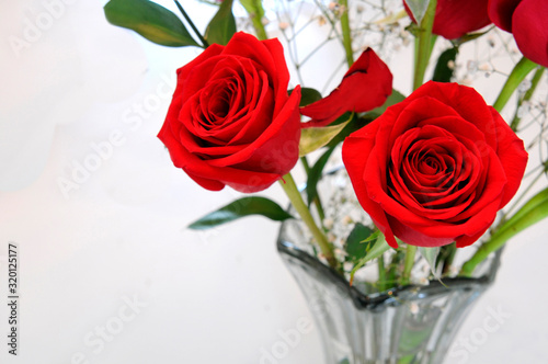 Brilliant Red Roses In Vase