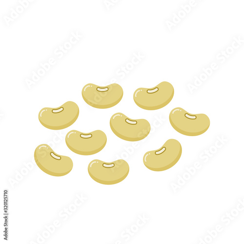 Kidney beans isolated on white background. Pile of white beige lima beans. Great Northern Beans. Legume family. Vegan or vegetarian food. Protein source. Vector illustration, flat style, clip art.
