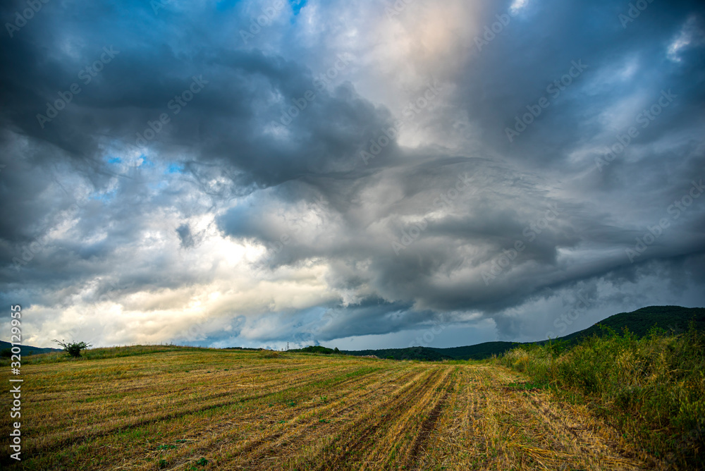 Fototapeta premium Storm summer clouds in the sunflowers field