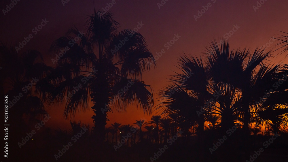 Smoke after a fire on a background of palm trees and sunset