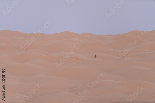 Fototapeta Naklejka Na Ścianę i Meble -  sand dunes in the desert