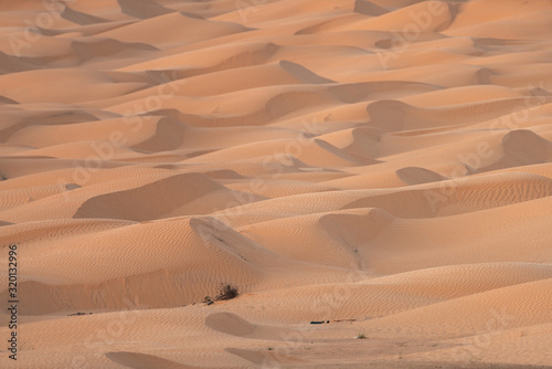 Fototapeta Naklejka Na Ścianę i Meble -  sand dunes in the desert