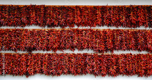 Wall of dried paprika, national spice of Hungary