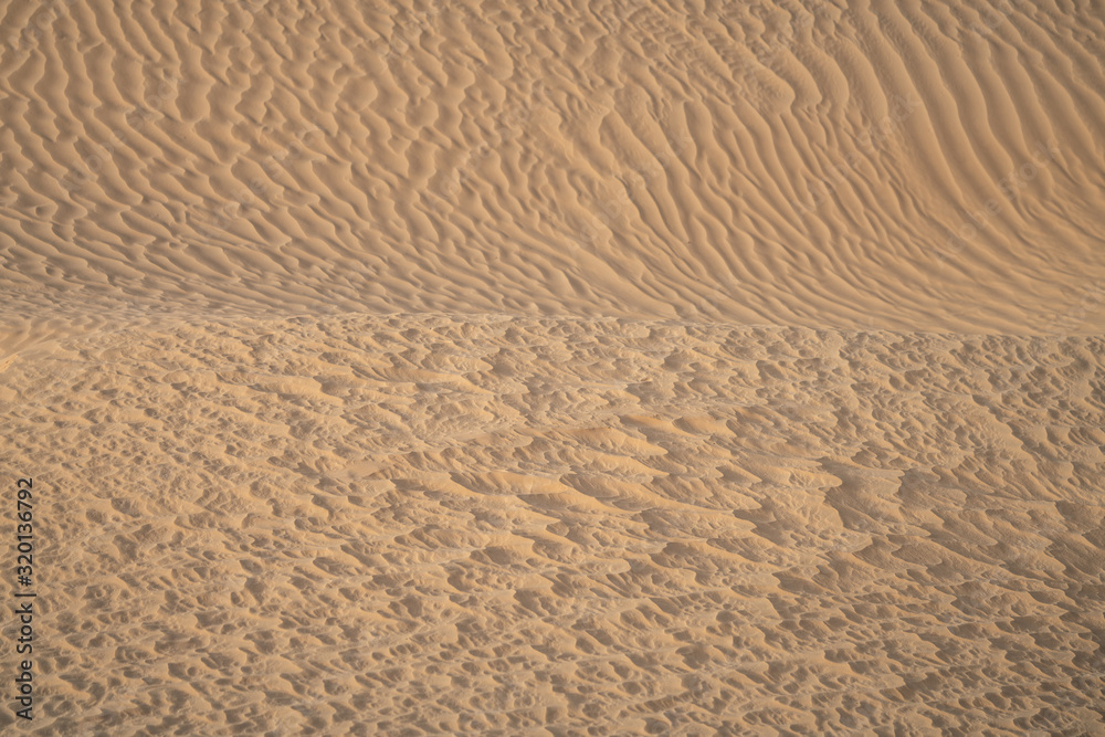 The send of the Sahara The send of the Sahara