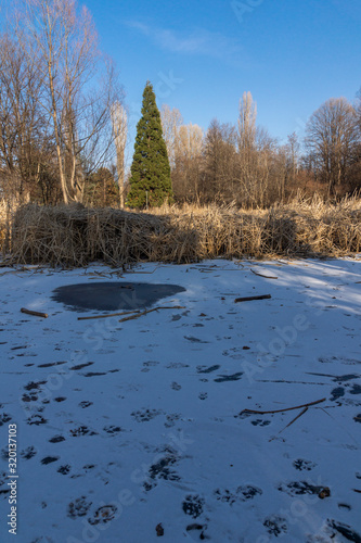 Winter view of South Park in city of Sofia, Bulgaria photo