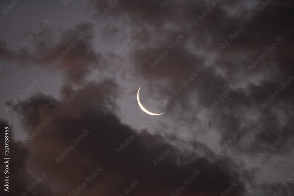 Obraz premium Little Moon