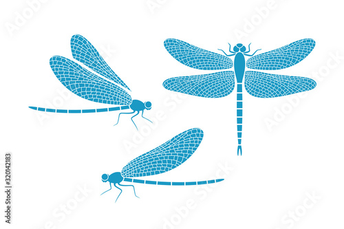 Dragonfly logo. Isolated dragonfly on white background