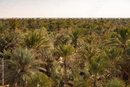 Wallpaper Mural Ksar Ghilane Torontodigital.ca