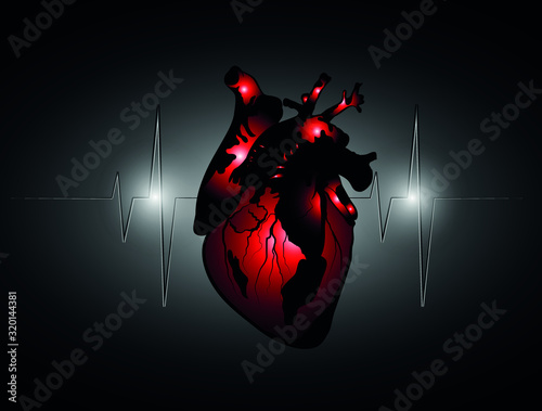 heart pulse education illustration 