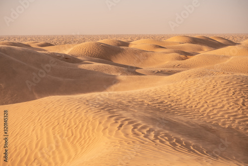 sand dunes in the desert