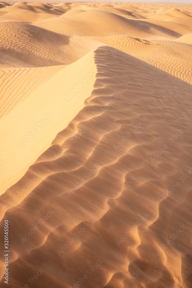 sand dunes in the desert - obrazy, fototapety, plakaty 