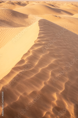 Fotografia sand dunes in the desert