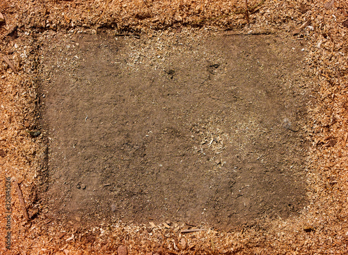 Frame from elements of nature. Earth texture framed by sawdust