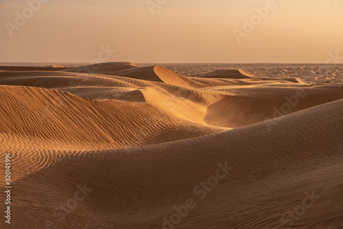Fototapeta Naklejka Na Ścianę i Meble -  sand dunes in the desert