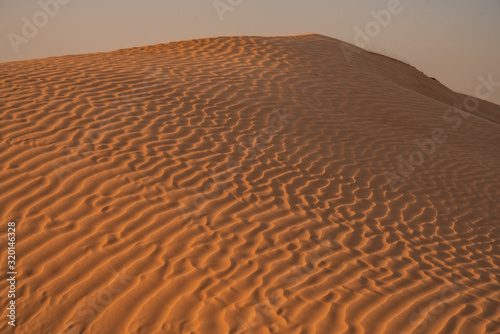 sand dunes in the desert