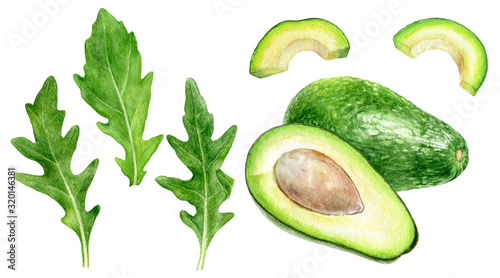 Avocado arugula set watercolor isolated on white background