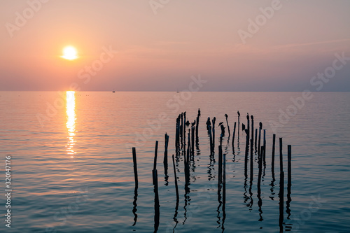 Sunset at sea on the background of boats and birds sitting on sticks.