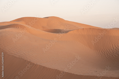 Fototapeta Naklejka Na Ścianę i Meble -  sand dunes in the desert
