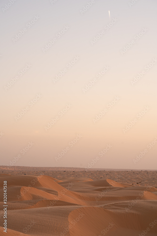Fototapeta premium sunset in desert