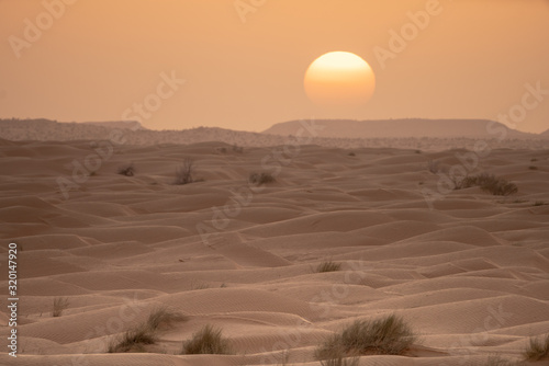 sunset in the desert