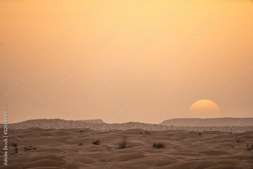 Fototapeta premium sunset in desert