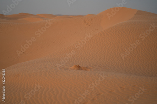 Fototapeta Naklejka Na Ścianę i Meble -  sand dune in desert