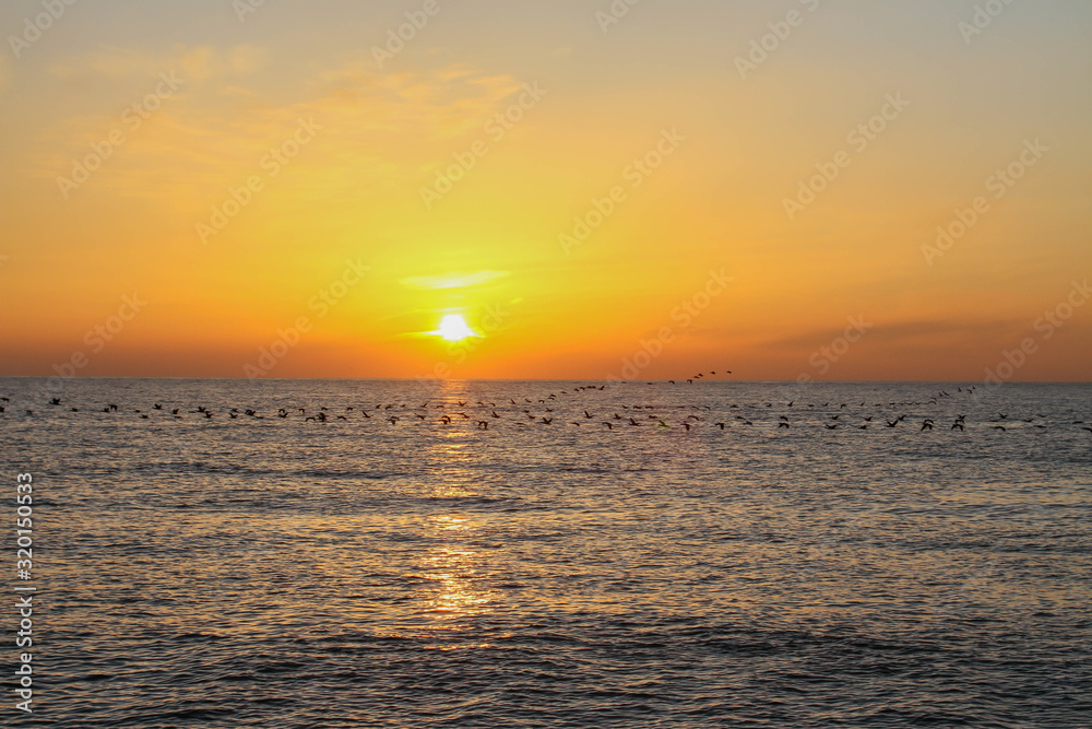 beautiful dawn on the sea, flight of ducks over the sea, ducks fly at dawn over the sea.