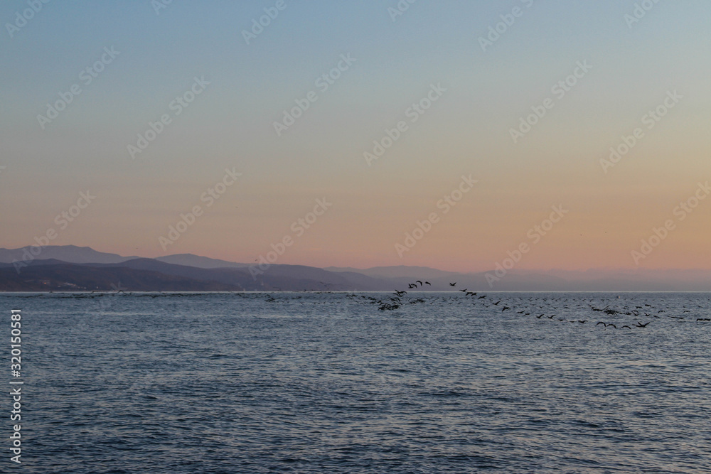 beautiful dawn on the sea, flight of ducks over the sea, ducks fly at dawn over the sea.