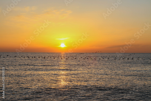 beautiful dawn on the sea  flight of ducks over the sea  ducks fly at dawn over the sea.