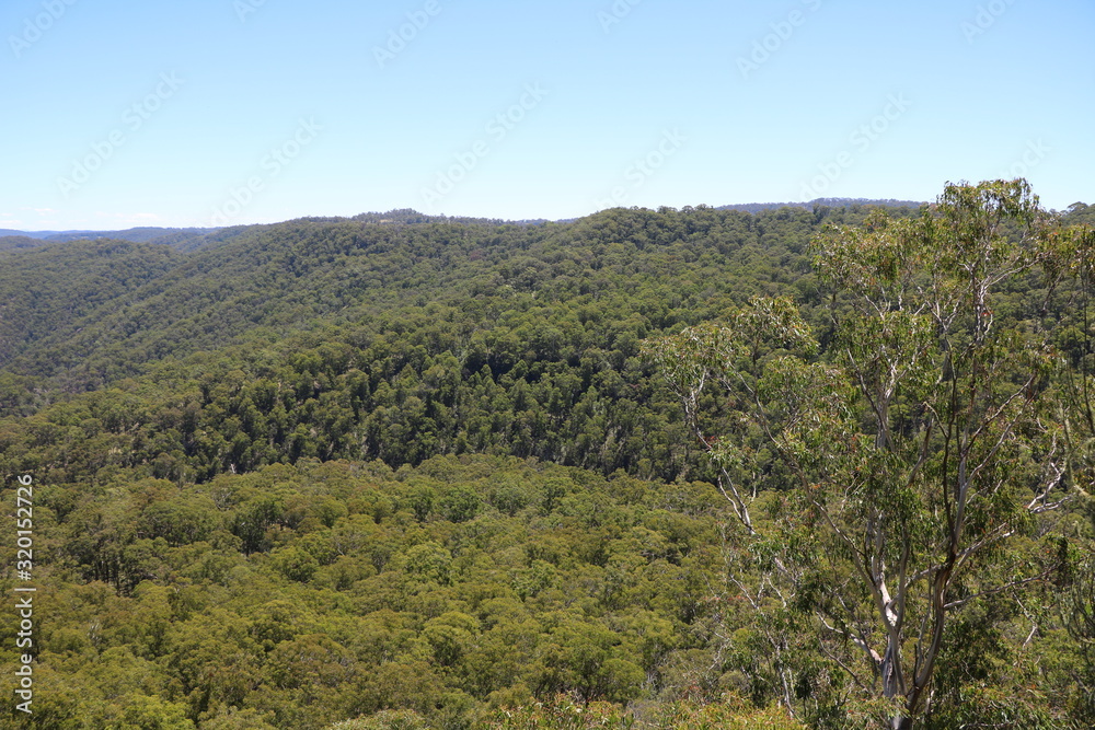 View to  Guy Fawkes River National Park, New South Wales Australia