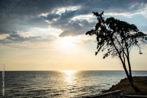 Landscape at the sea in Kassandra , Greece