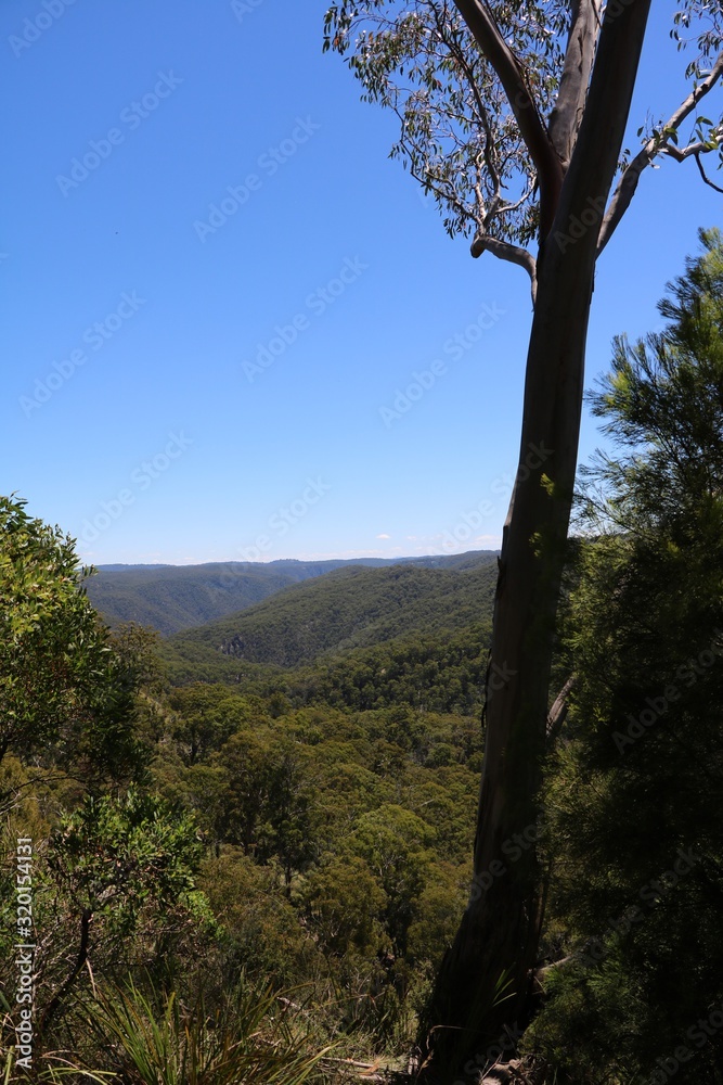 Guy Fawkes River National Park, New South Wales Australia