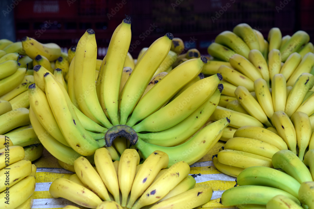 Bunches of bananas on the open air market stall