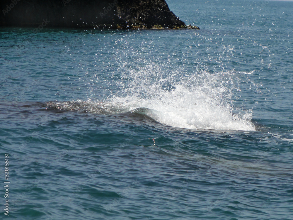  Black Sea. The south coast of Crimea .