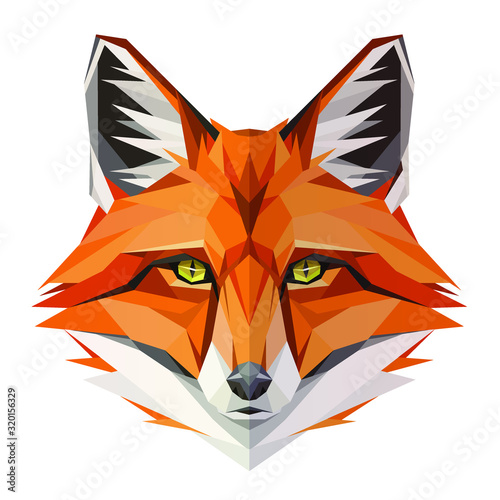 Fox low poly design. Triangle vector illustration photo